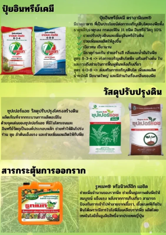 🌱 Super Ash Balance your soil, boost fertility, and grow sustainably. 🌳 Root Mate Stronger roots, healthier crops, better harvests.